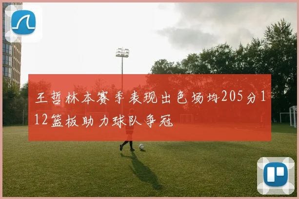 王哲林本赛季表现出色场均205分112篮板助力球队争冠